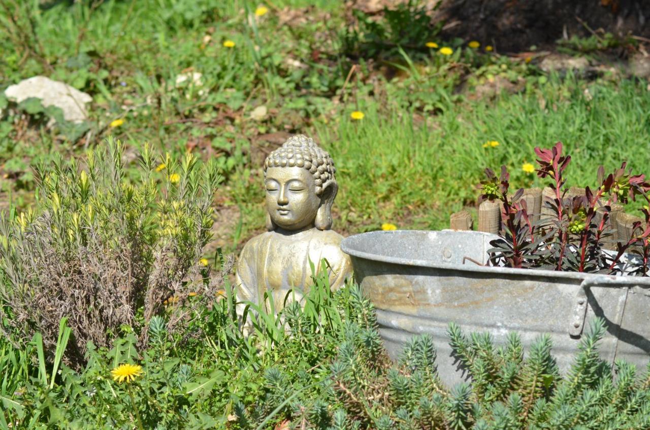 Le Domaine Armonia Hotel Saulcet Bagian luar foto